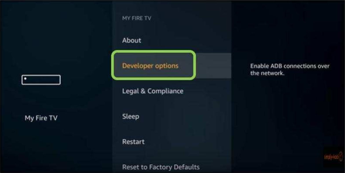 FireStick Developer options