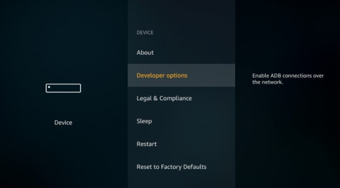 Developer Options in FireStick